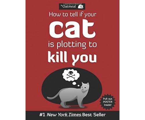 How to Tell If Your Cat Is Plotting to Kill You
