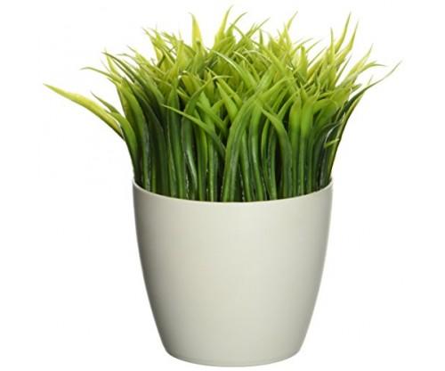 Kikkerland Potted Pen Stand