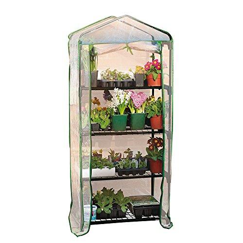 Gardman Mini Greenhouse for Young Plants ThatSweetGift