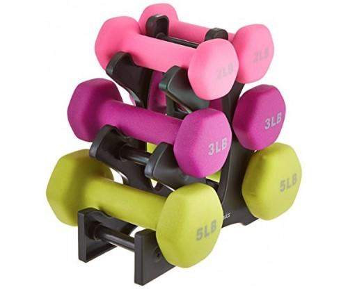AmazonBasics 20-Pound Dumbbell Set with Stand