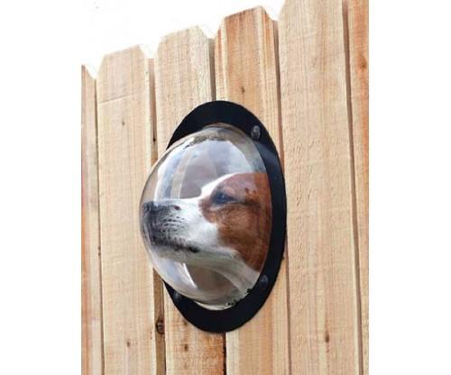 PetPeek Fence Windows For Pets: Easy Set-up
