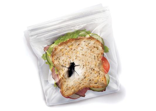 sandwich bag bug prank