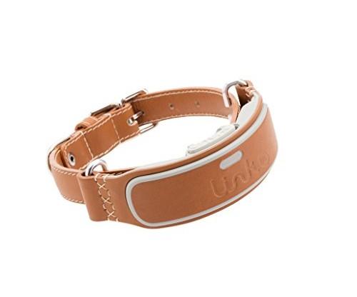 LINK AKC Smart Dog Collar: GPS Dog Tracking Device