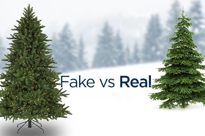 fake vs real christmas tree