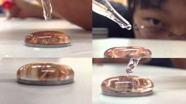 surface tension coin