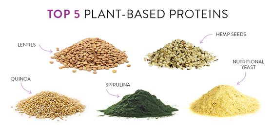 plant based proteins