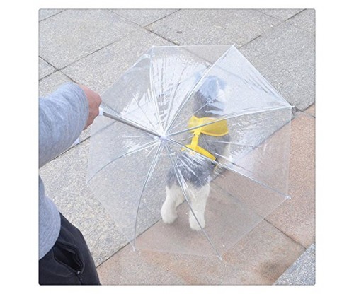 FTXJ Rain/Snow Days Novety Pets Leashes