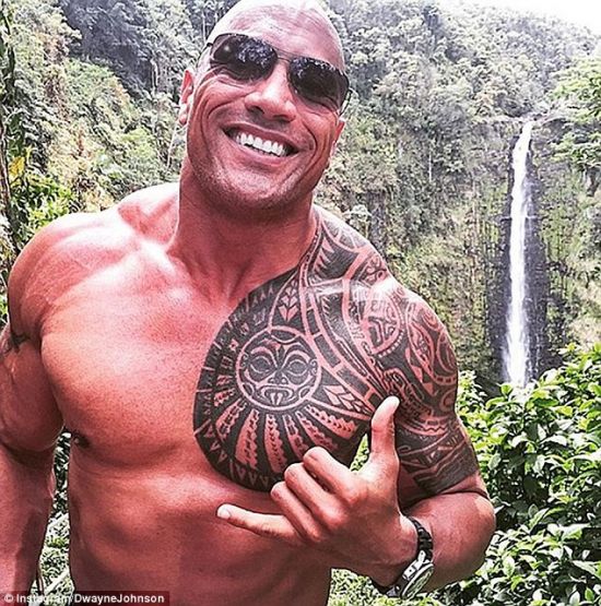 dwayne johnson 115 million followers dwayne johnson instagram - best fitness followers on instagram