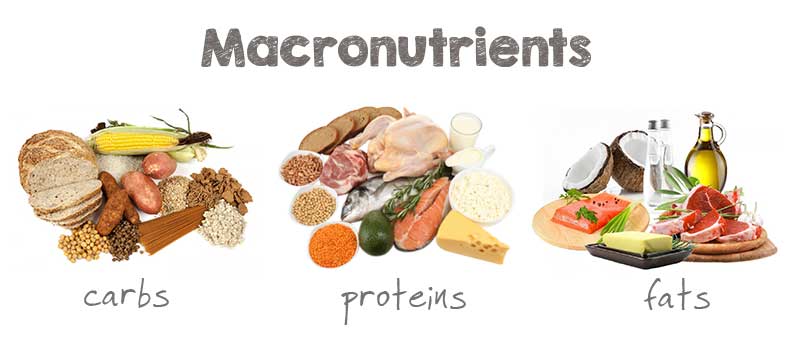 macronutrients