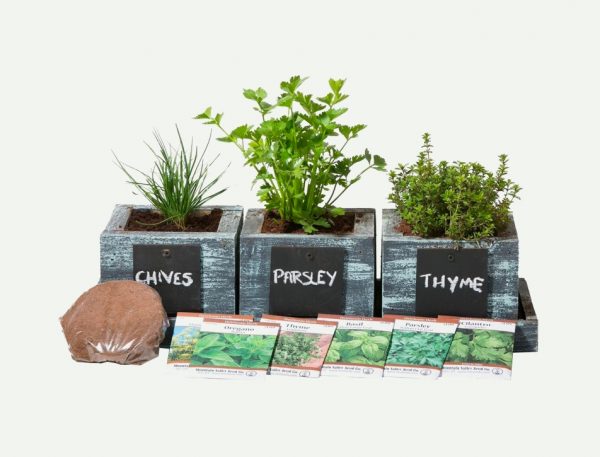 herb pots