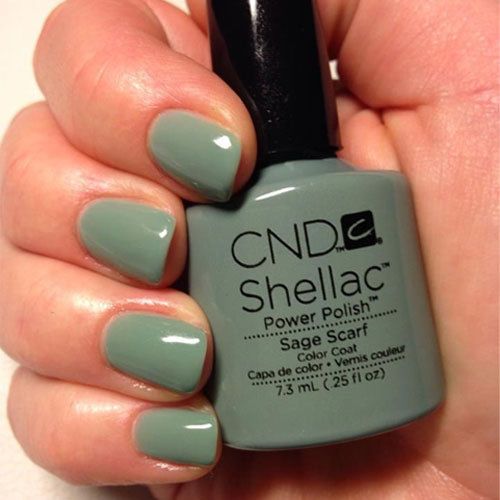 shellac