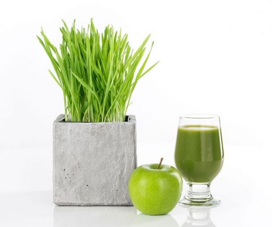 Wheatgrass Juice