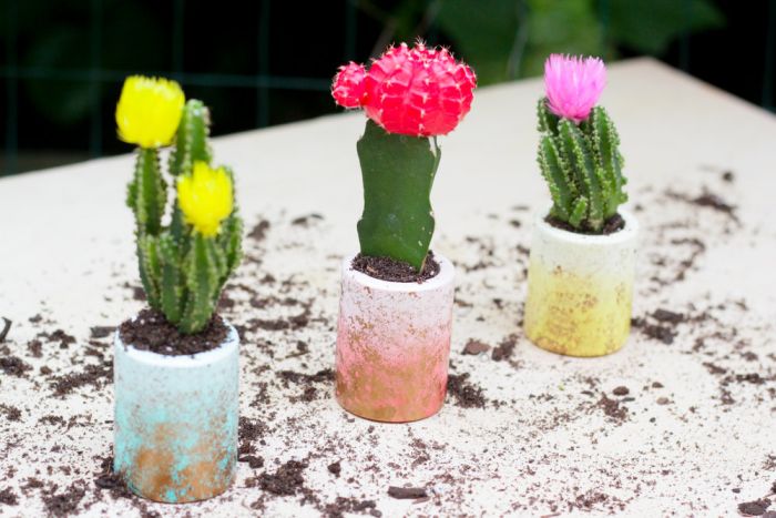 diy planters