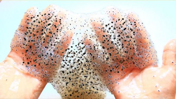 edible chia slime