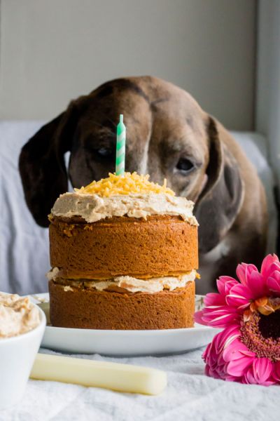 peanut butter cake for dogs