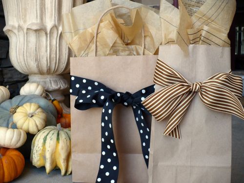 gift bag with bow