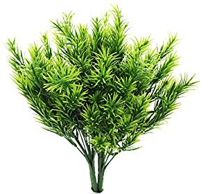 pine foliage