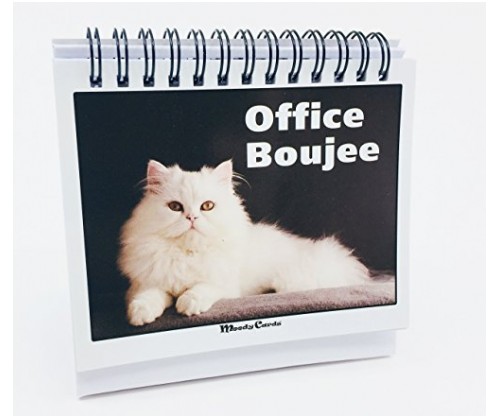 Office Gift for Cat Lovers – Moodycards! Office Boujee