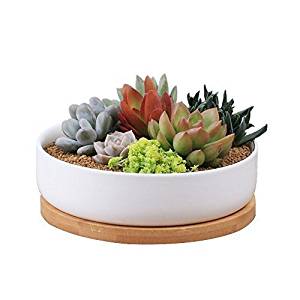 Binwen Modern Round Succulent Planter