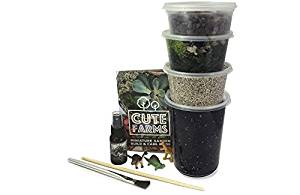 Cute Farms Terrarium Starter Kit