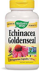 Echinacea