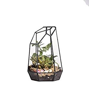 NCYP Geometric Terrarium Planter