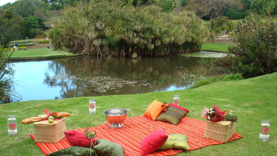 outdoor picnic