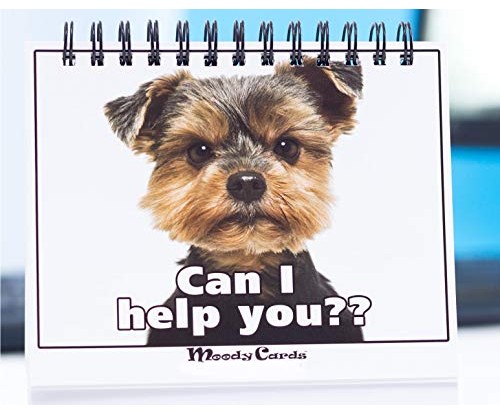 Doggy Moodycards