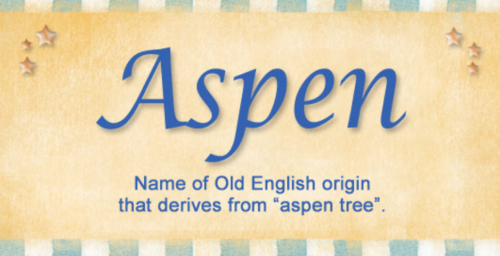 aspen