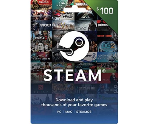 Steam Gift Card $100