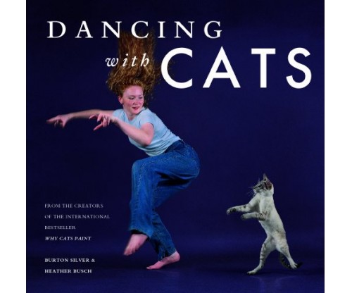 “Dancing with Cats”: From the Creators of the International Best Seller “Why Cats Paint”