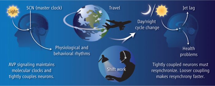 jet lag symptoms