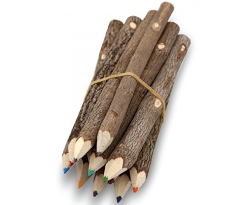 Assorted Stick Twig Colored Outdoor Wooden Pencils