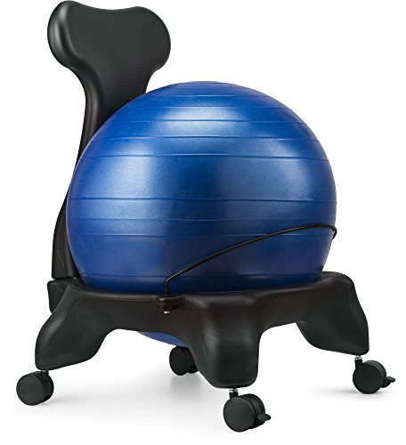 LuxFit Exercise Ball Chair Fully Reviewed | Thatsweetgift