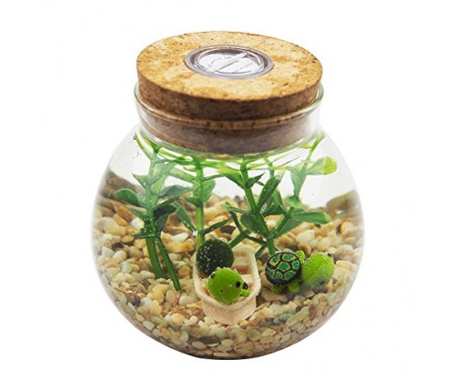 Multi Color Aquarium Set