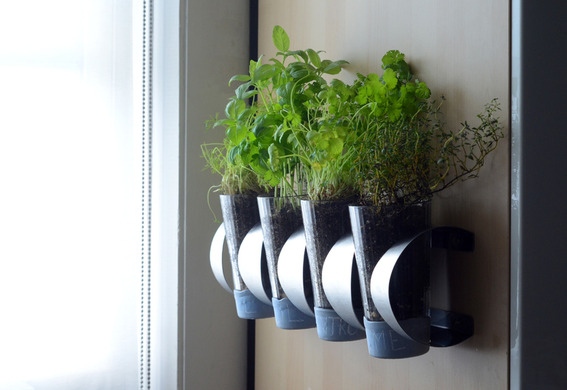 Indoor Herb Garden