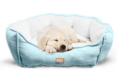 10 of the Cutest Dog Beds Available on Amazon | Thatsweetgift