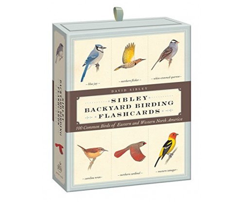 Sibley Backyard Birding Flashcards