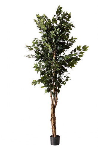 Nearly Natural 5209 Ficus Silk Tree, 6-Feet, Green 