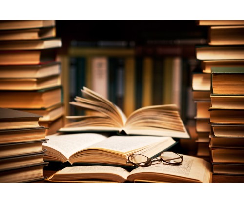 Life Changing Books That Will Make an Instant Impact on the Reader