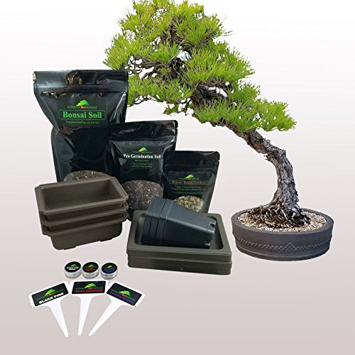 Planters Choice Bonsai Starter Kit The Complete Kit Thatsweett