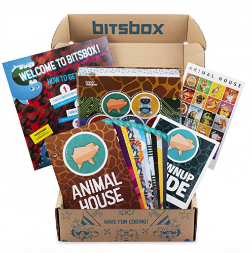 5. Bitsbox - Coding Subscription Box