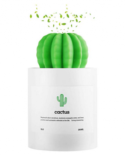 desk accessories: cute cactus humidifier