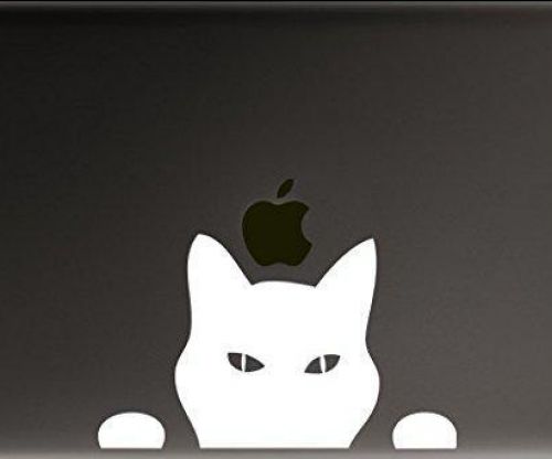 Cat Peeking Sticker