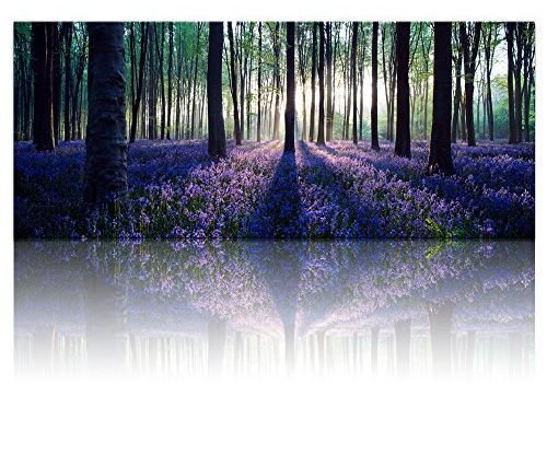 Large Size Lavender Canvas Wall Art with Frame