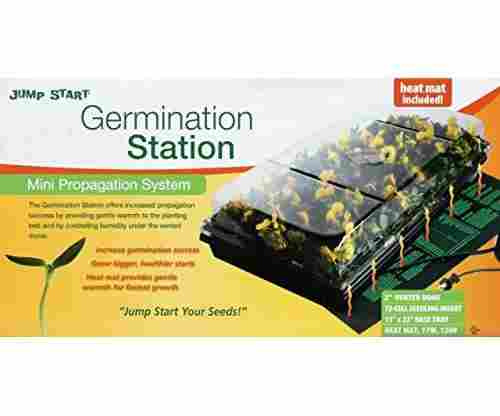 Jump Start Germination Station