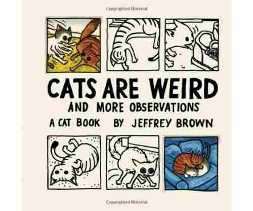 Cats are Weird and More Observations Book
