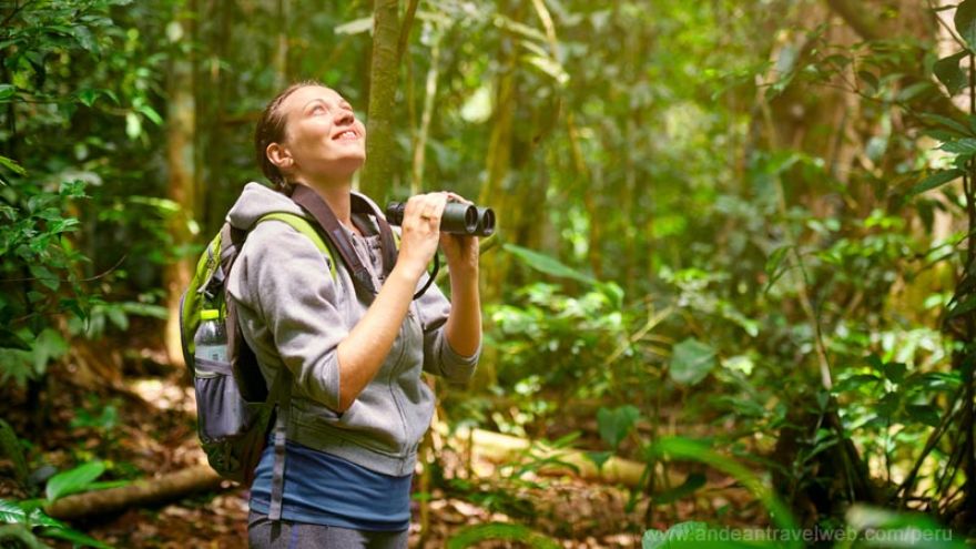 Best Bird Watching Binoculars Tested by Our Team of Bird Lovers