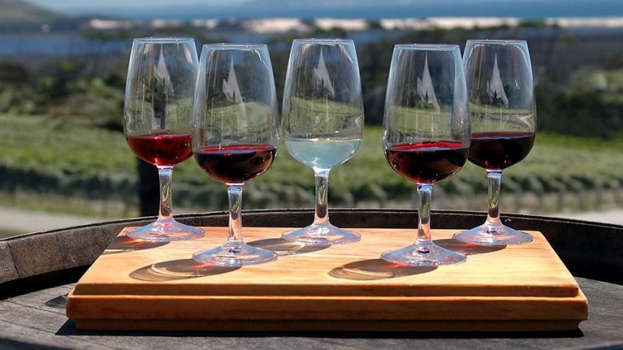 5 Wine Lover Tours We Recommend This Year! 