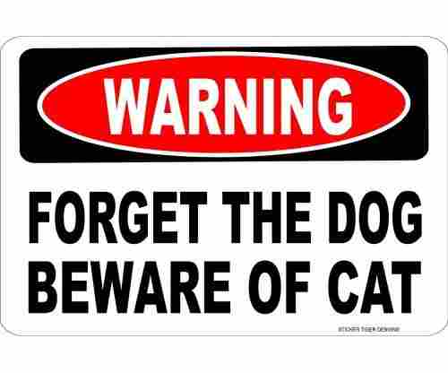 Cat Wall Sign